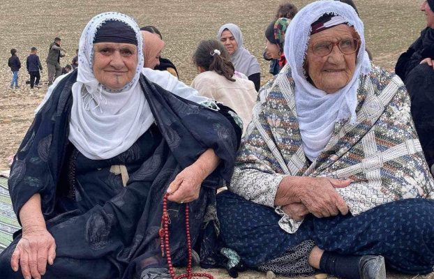 Unterstützen Sie Haukari e.V.!